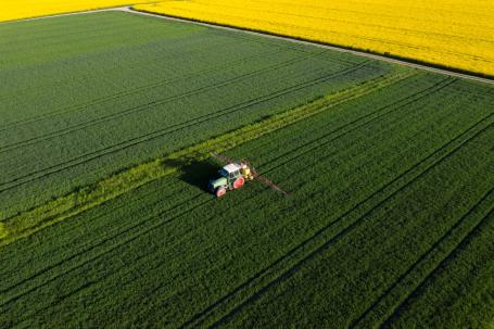 A tractor sprays pesticide on a large green corn field. 