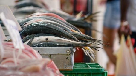 While some fish populations may increase as a result of COVID-19, we must resist over-harvesting this possible new bounty. Photo by Bernal Saborio/Flickr