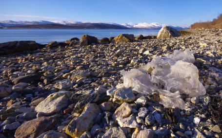 While we need solutions to slow the spread of COVID-19, scaling up single-use plastics that pollute the ocean should not be one of them. Photo by Bo Eide/Flickr