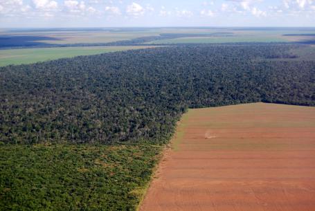 Aerial view of a large soy farm in Brazil cut into the Amazon rainforest.