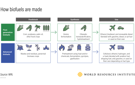 Differences between first-generation and advanced biofuels.