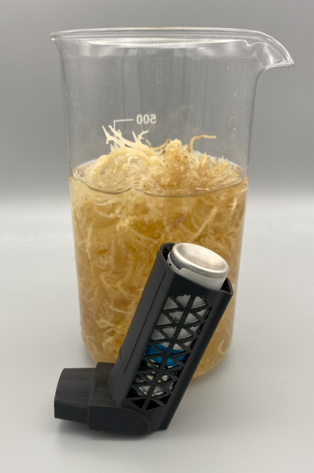 Prototype of an inhaler made from seaweed-based bioplastic.